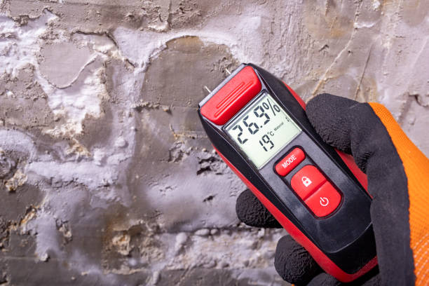 Best Affordable Mold Removal  in Fairmount, NY