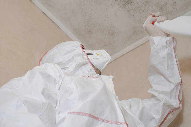 Best Professional Mold Removal  in Fairmount, NY