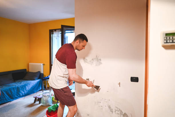 Best Home Mold Removal  in Fairmount, NY