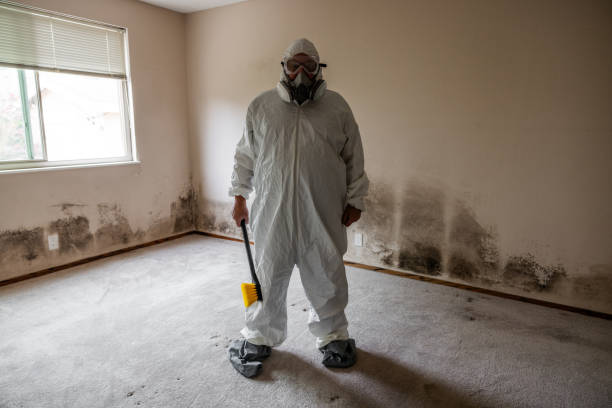 Best Emergency Mold Removal  in Fairmount, NY